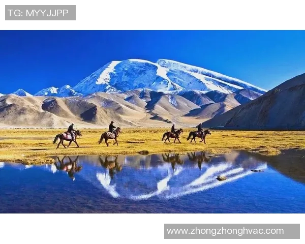 探索阿拉巴的历史文化与自然风光之美，感受多元魅力与独特风情