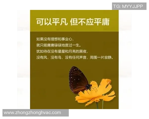 叶诚万的奋斗历程与人生哲学探讨：从平凡到卓越的心路历程