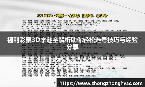 福利彩票3D字谜全解析助你轻松选号技巧与经验分享